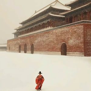 高端效率小狐导航
