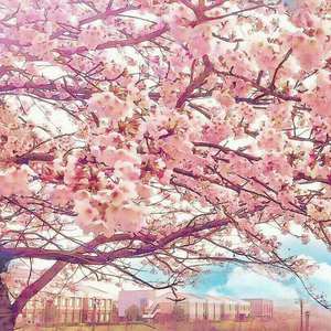 韩国女排跳舞完整视频
